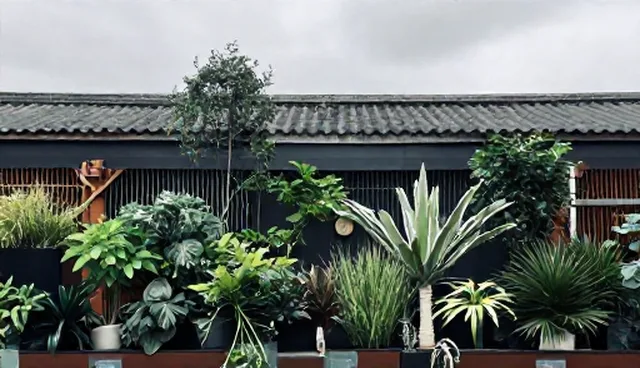 技术培训与指导的适用条件与选择依据